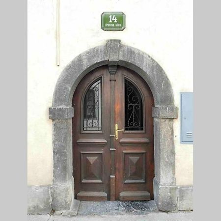 Old Town 14 Apartment Ljubljana Luaran gambar